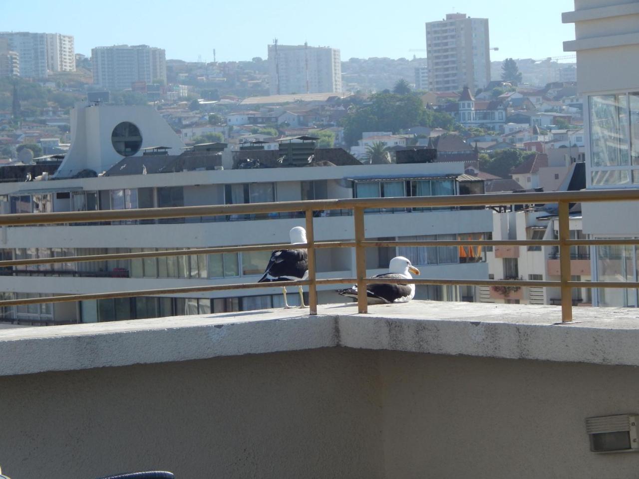 1201 Departamento Vs Centro Vina Appartement Vina del Mar Buitenkant foto